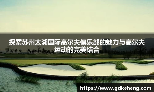 满冠体育新版本