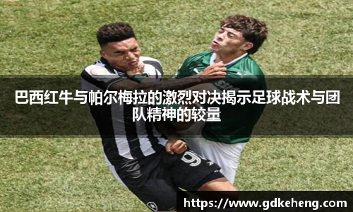 满冠体育官方网站